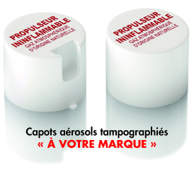 galvanisant a froid 10 m2 par aerosol possedant des caracteristiques anticorrosion exceptionnelles. resultats des tests au brouillard salin prouves et certifies. tenue mecanique exceptionnelle du film. manipulable apres 4 minutes. soudable. peintable, tenue jusqu'a +550°C. aerosol galvanisant mat, galvanisant, galvanisant a froid, aerosol galvanisant a froid, bombe galvanisant, bombe galvanisant a froid, galvanisant zinc, peinture zinc, peinture pour galvanisation, galvanisation à froid, protection anti corrosion, anti corrosion, galvanisant riche en zinc, peinture galva, aerosol galvanisant zinc, galvanisant anti corrosion. Fabricants aerosols galvanisant. Fabricants aerosols galvanisation a froid. Fournisseurs galvanisant a froid. Fournisseurs galvanisation a froid. 